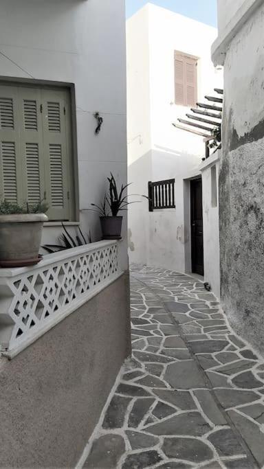 Villa Naxion Esti - Διαμονή Στην Παλιά Χώρα Της Νάξου Naxos City Exterior foto