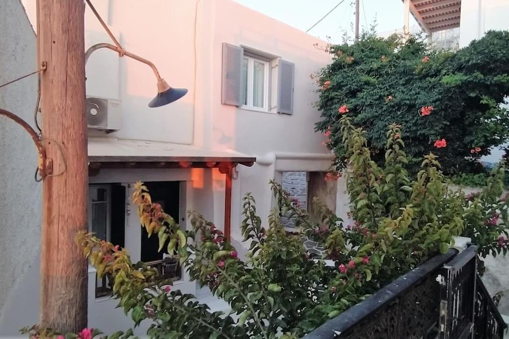 Villa Naxion Esti - Διαμονή Στην Παλιά Χώρα Της Νάξου Naxos City Exterior foto