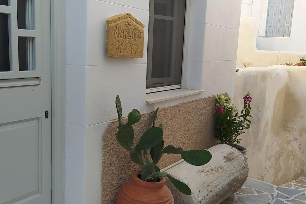 Villa Naxion Esti - Διαμονή Στην Παλιά Χώρα Της Νάξου Naxos City Exterior foto